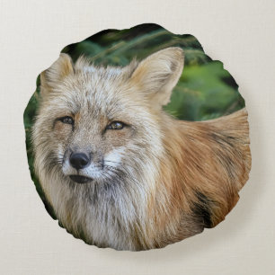 Cojín Redondo Wild Fox