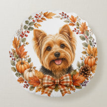 Yorkshire Terrier Otoño