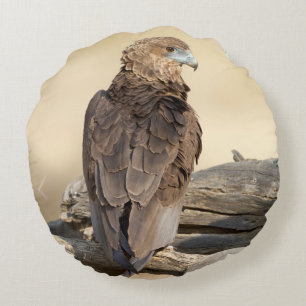 Cojín Redondo Young Bateleur