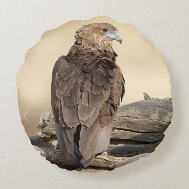 Cojín Redondo Young Bateleur (Reverso)