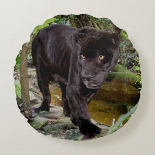 Cojín Redondo Zoológico de la ciudad de Belice. Pantera negra