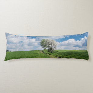 Cojín Ruta sucia y árboles de manzana