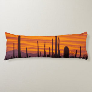 Cojín Saguaro, puesta de sol, Parque Nacional Saguaro