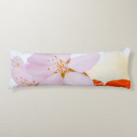 Sakura - Flor de cerezo japonesa