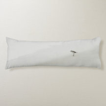 Sandpiper costero en la playa