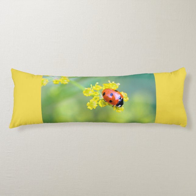 Cojín señora de arriba (Anverso)