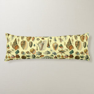 Cojín Shell de conchas marinas Mollusk Clam Elegante Art
