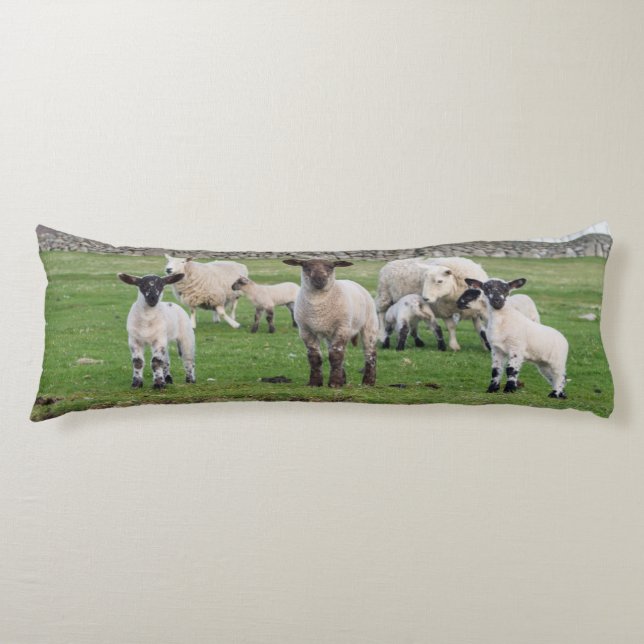 Cojín Shetland Sheep (Anverso)