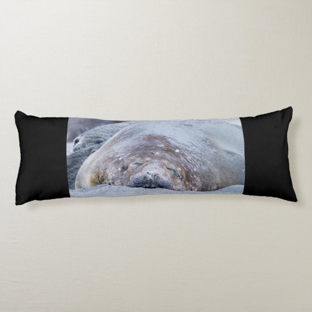 Cojín Sleeping elephant seal (Reverso)