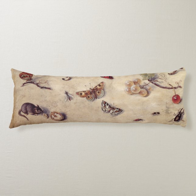 Cojín T31566 un estudio de diversos insectos, fruta y (Anverso)