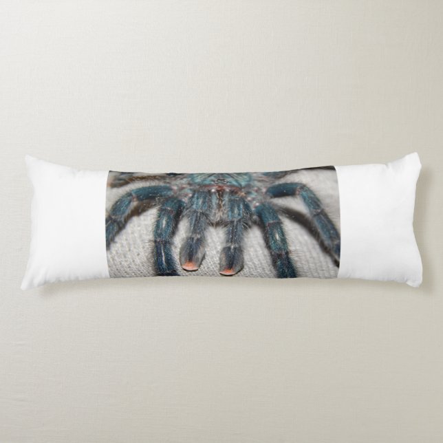 Cojín tarántula azul (Anverso)