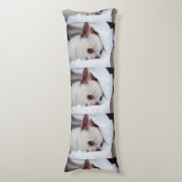 Tu mascota perro cachorro personalizado foto patró