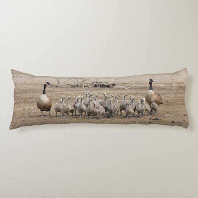 Cojín Una gran familia de cabras de Canadá (Anverso)