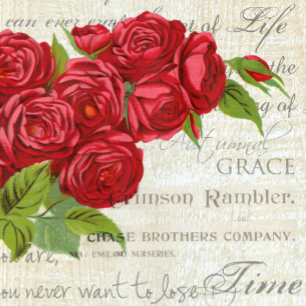 Cojín Vintage Shabby Chic Roses Rojos En Guión Antiguo