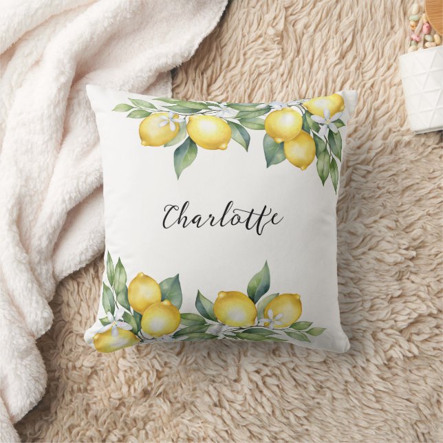 Cojines decorativos de diseño moderno. (Manta)