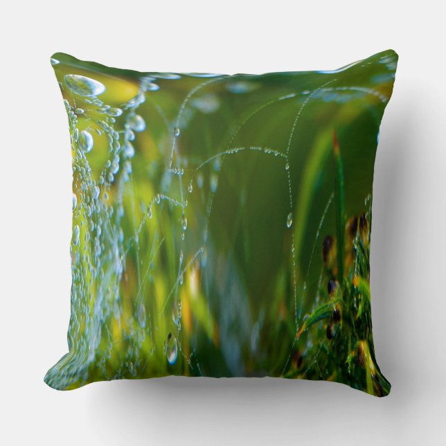 Cojines decorativos Web Spider (Anverso)