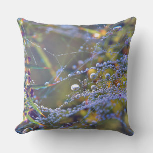 Cojines decorativos Web Spider