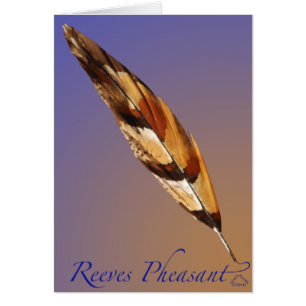 Cola del faisán de Reeves