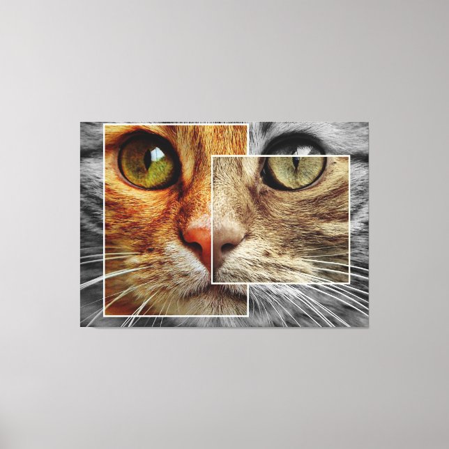 Colage de cara de gato lindo en lienzo (Anverso)