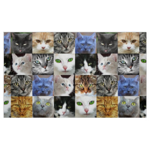 Colage de caras de gatos en tela para costura
