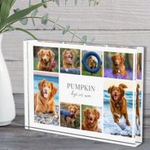 Colaje de Fotos de Mascotas de Perros Simpáticos