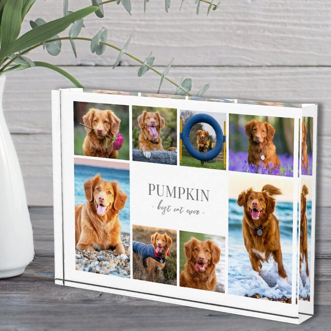Colaje de Fotos de Mascotas de Perros Simpáticos (Simple Dog Pet Photo Collage)