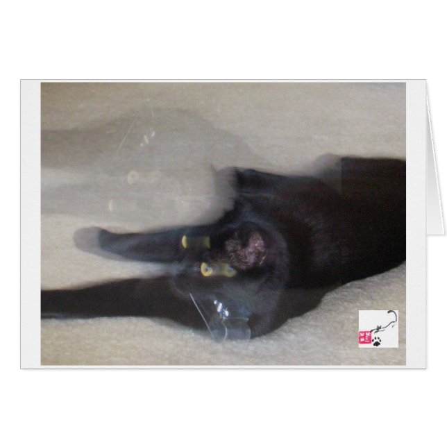 Cole - Movimiento (Anverso (Horizontal))