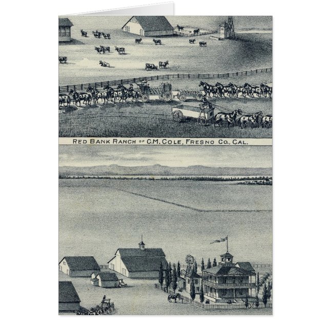 Cole Ranches (Frente)