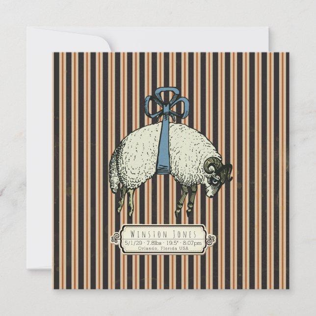 Colección bonito Bow Sheep™ - (Anverso)