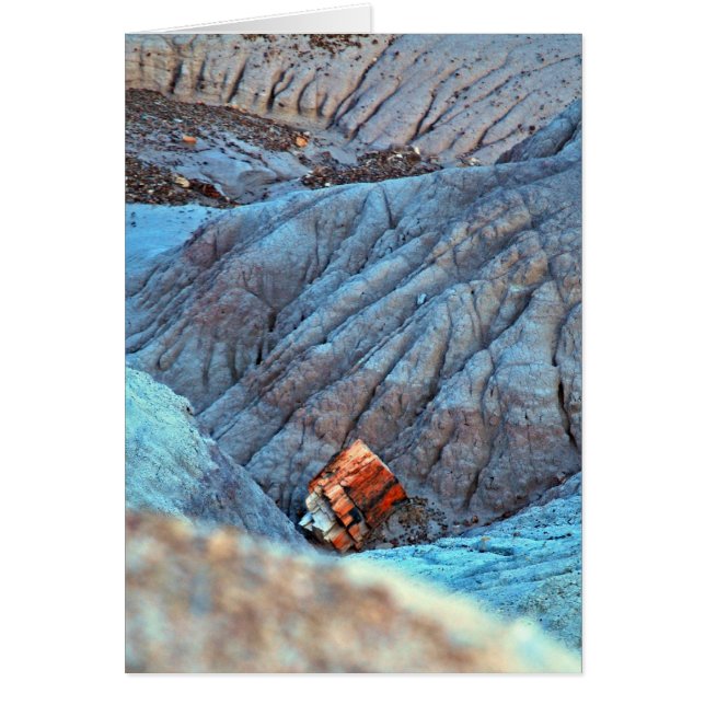 Colección "Broken Wood in Blue Canyon" (Frente)
