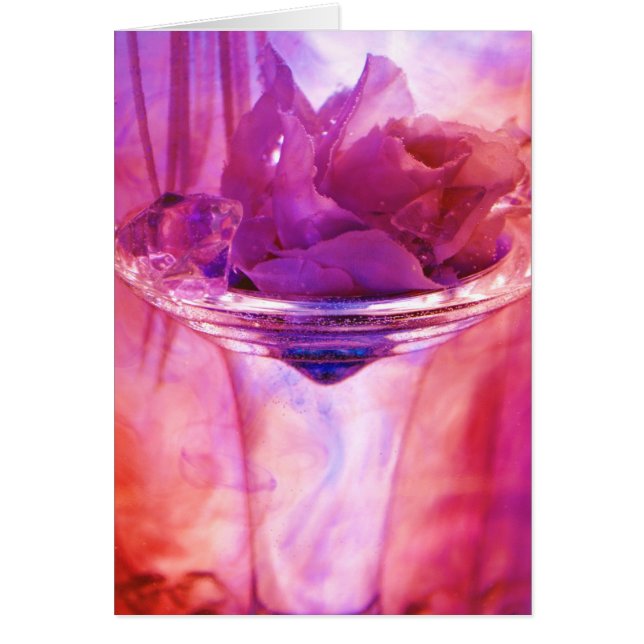 Colección "color de rosa" púrpura (Frente)