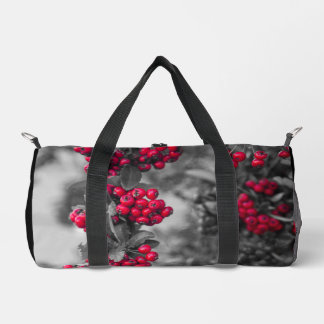 Colección de bolsas de bayas de Pyracantha