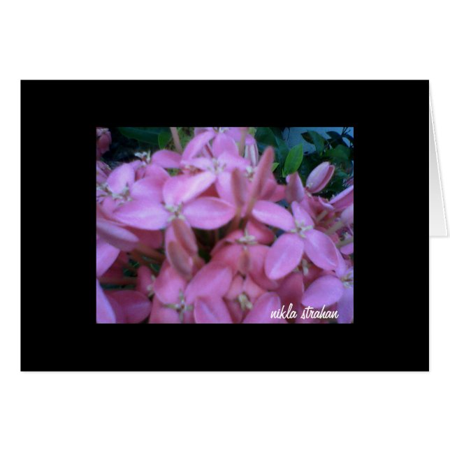 *COLECCIÓN DE FLORES*   tarjeta de nota (Anverso (Horizontal))