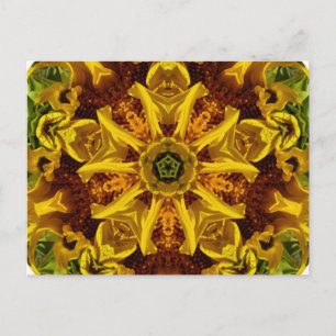 Colección de girasoles - postal