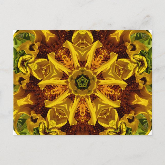 Colección de girasoles - postal (Anverso)