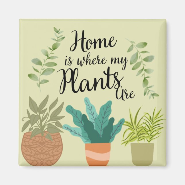 Colección de imanes de nevera única (Frente)