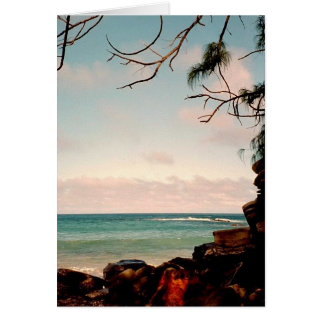 "Colección de la playa negra de la roca de Maui" (Frente)
