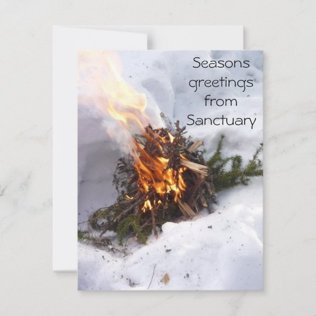 Colección de la tarjeta de felicitación del (Anverso)