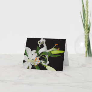 Colección de Lirios Artísticos - Tarjetas de Felic
