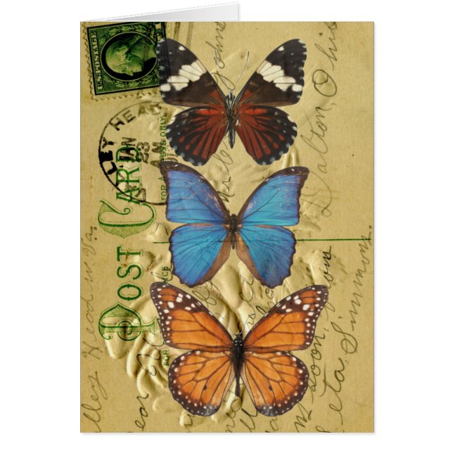 Colección de mariposas (Frente)