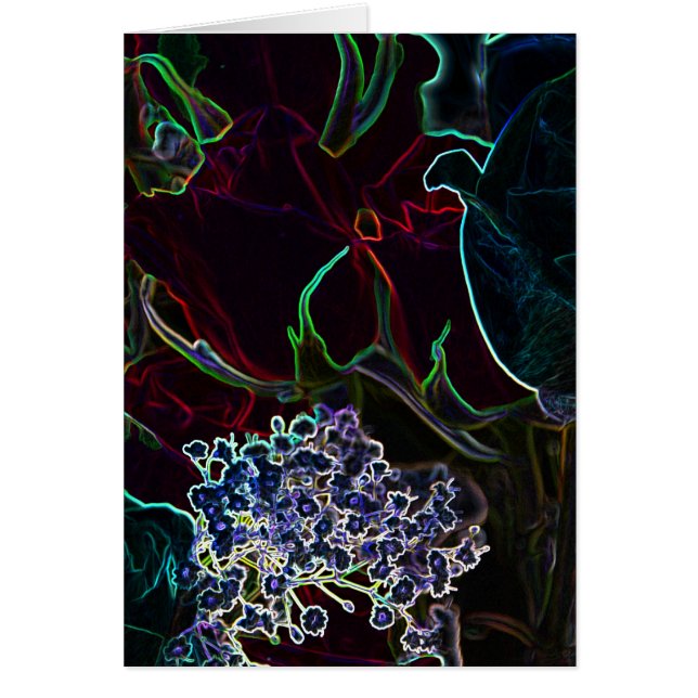 Colección de neón de los rosas (Frente)