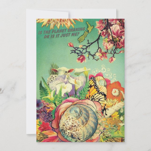 Colección de Nueva Zelanda (Anverso)