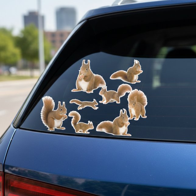 Colección de Pegatinas de Ardillas (Squirrel watching is a whole personality.)