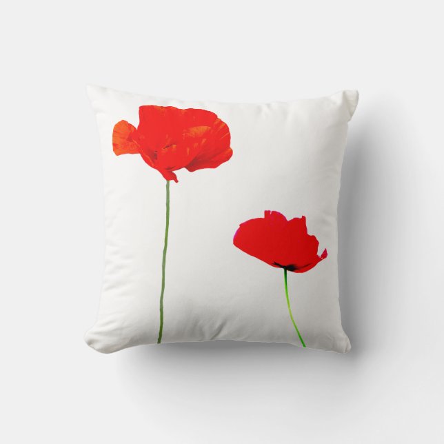 COLECCIÓN DE POBRE 03 almohada (Anverso)