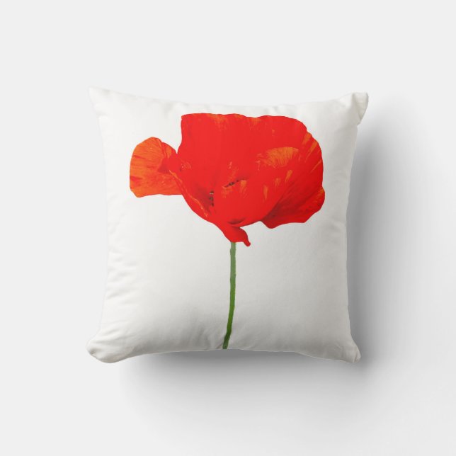 COLECCIÓN DE POBRE 06 almohada (Anverso)
