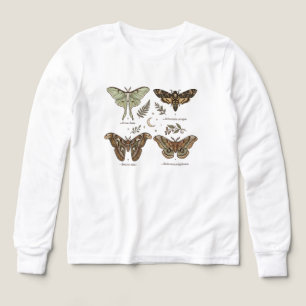 Colección de Polillas Vintage Entomología Dark Cot