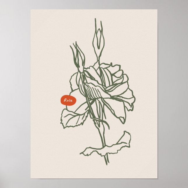 Colección de posters de arte natural (Frente)