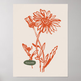 Colección de posters de arte natural