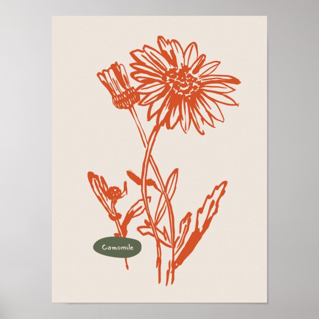 Colección de posters de arte natural (Frente)