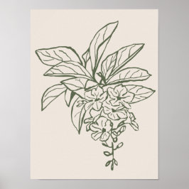 Colección de posters de arte natural